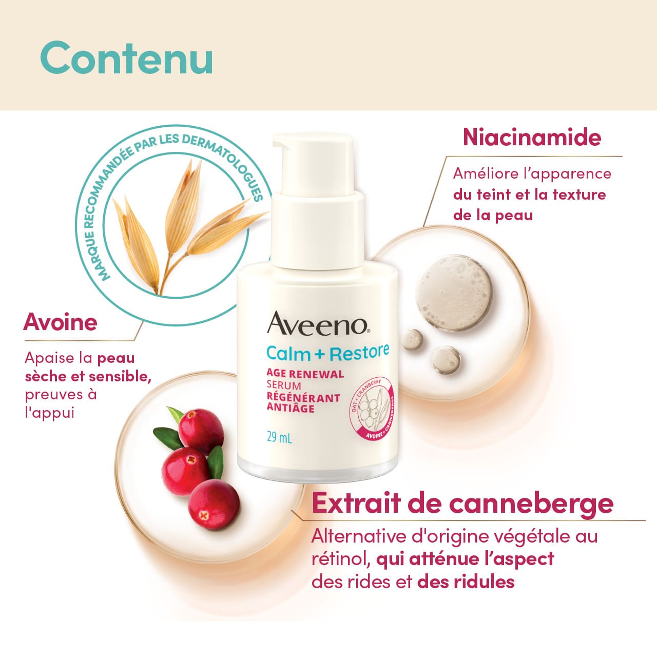 Ingrédients du sérum régénérant antiâge Aveeno® Calm + Restore : avoine, niacinamide, extrait de canneberge et leurs bienfaits.