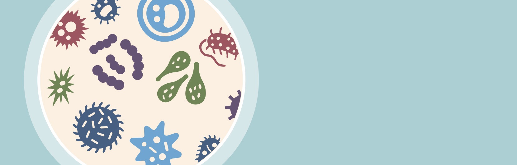 Illustration d’un microbiome sain